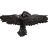 Alchemy Raven Hairclip Black