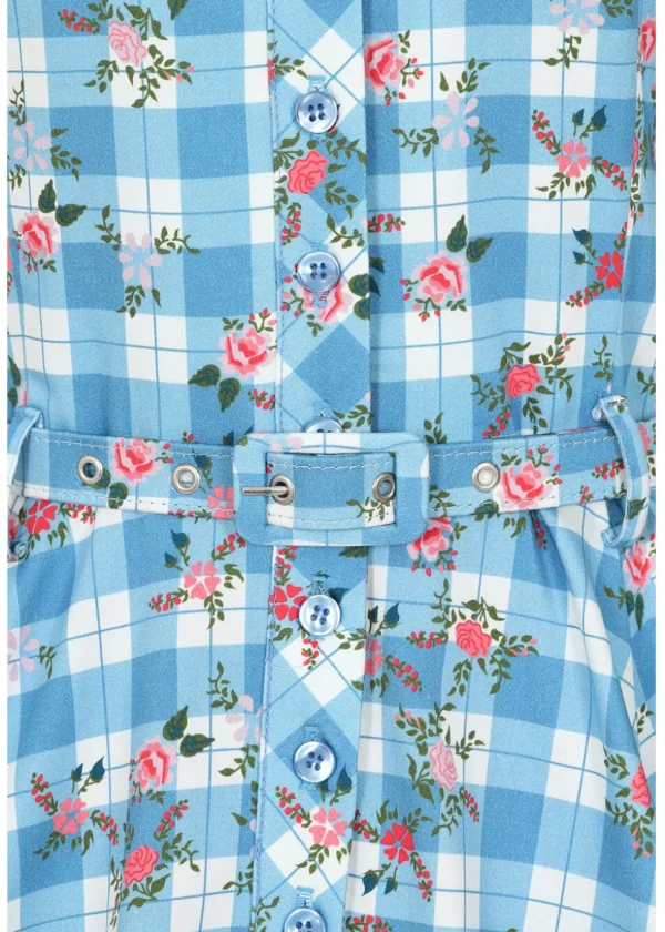 Collectif Caterina Gingham Garden 50's Swing Dress Blue
