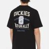 Dickies Men Elliston Jar T-Shirt Schwarz