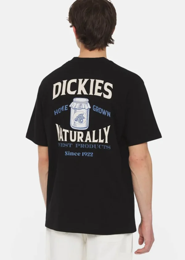 Dickies Men Elliston Jar T-Shirt Schwarz