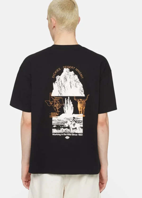 Dickies Men Pearisburg T-Shirt Black