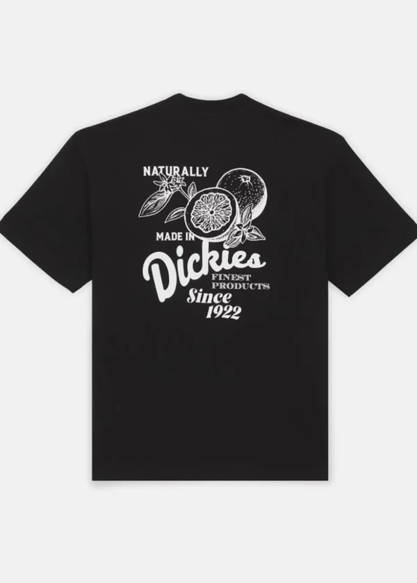 Dickies Men Raven Oranges T-Shirt Black