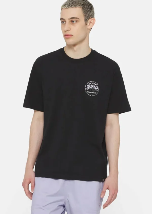 Dickies Men Stanardsville T-Shirt Black