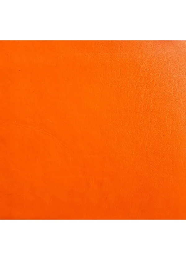 Saddler Ellie Leather Coin Purse Orange