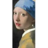 Succubus Art Girl With The Pearl Earring Vermeer Scarf