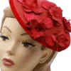 Succubus Fancy Cone Flowers 40's Strawhat Red