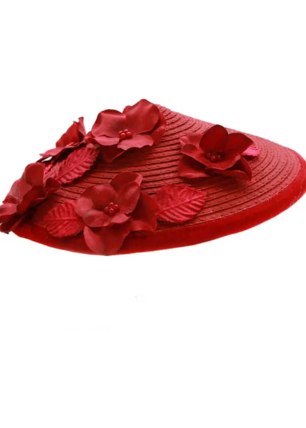 Succubus Fancy Cone Flowers 40's Strawhat Red