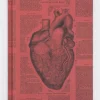 Succubus Home Anatomical Heart Hardcover Schrijfboek