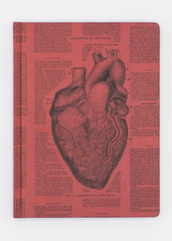 Succubus Home Anatomical Heart Hardcover Schrijfboek