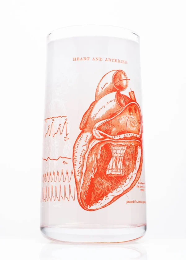 Succubus Home Anatomical Heart Glass