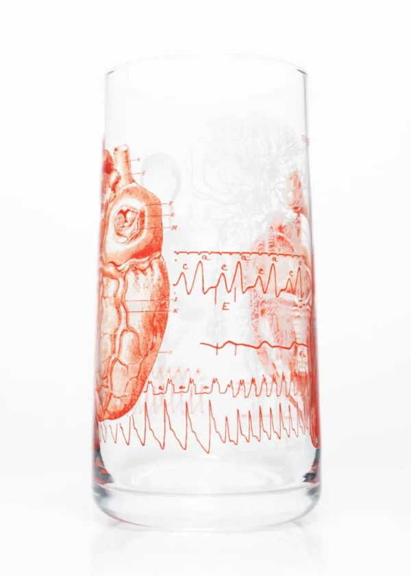 Succubus Home Anatomical Heart Glass