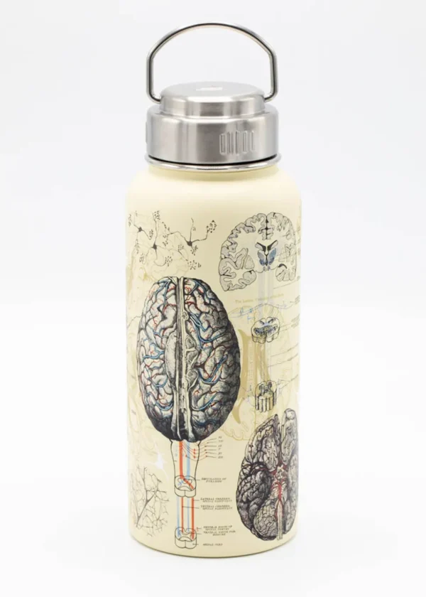 Succubus Home Brain & Neuroscience Stalen 950ml Thermosfles