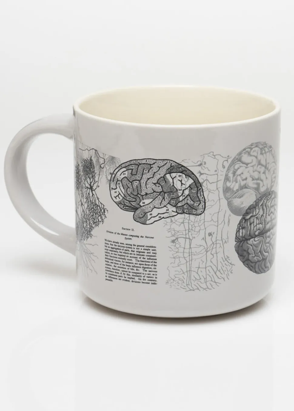 succubus_home_brain_anato_0.webp Succubus Home Brain Anatomy Cup Mug