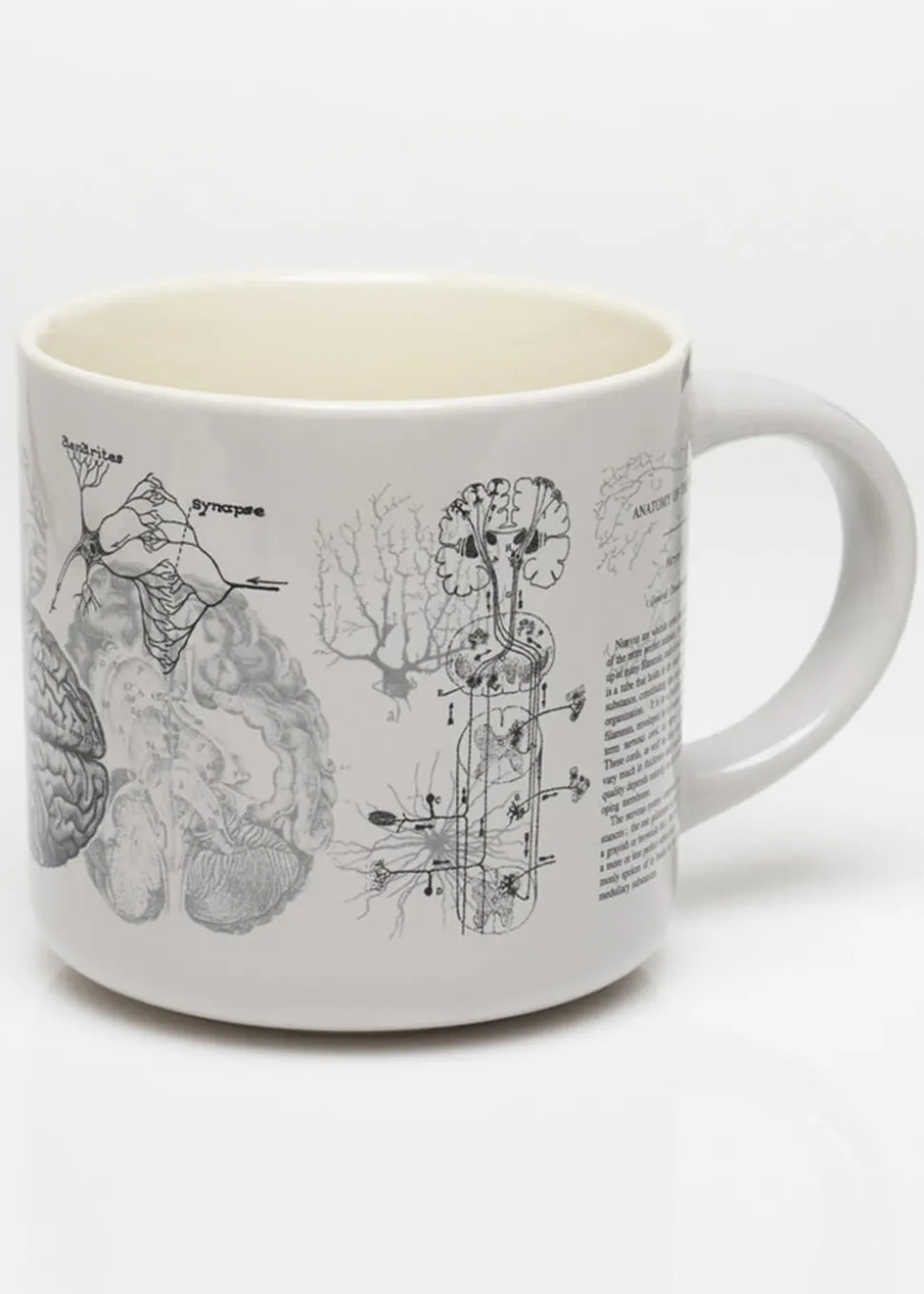 succubus_home_brain_anato_1.webp Succubus Home Brain Anatomy Cup Mug