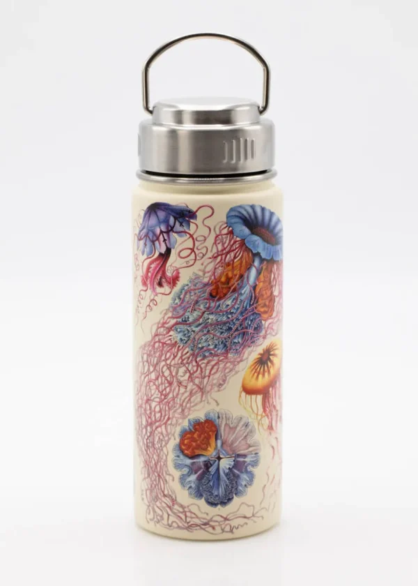 Succubus Home Haeckel Jellyfish 500ml Stalen Thermosfles