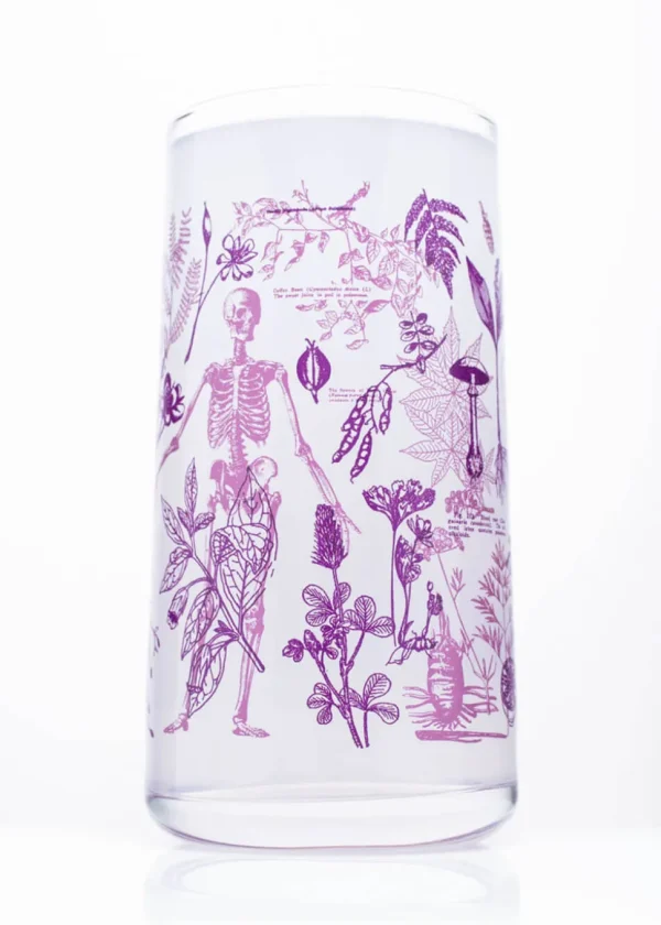 Succubus Home Poisonous Plants Glass