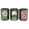 Temerity Jones Botanical Garden Set of 3 Pots Black